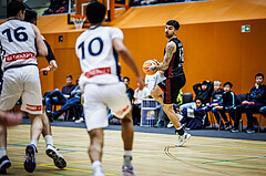 Basketball, Basketball Zweite Liga 2024/25, Grunddurchgang 6.Runde, Vienna Timberwolves, Mistelbach Mustangs, Zdenek Nehyba (42)
