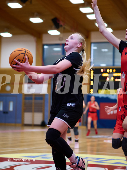 Basketball Superliga 2024/25, SLWU14 Traiskirchen Lionesses vs. Gratkorn Scorpions



