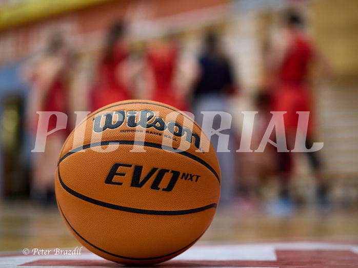 Basketball Superliga 2024/25, SLWU16 Traiskirchen Lionesses vs. BBC Nord Dragons



