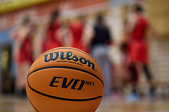 Basketball Superliga 2024/25, SLWU16 Traiskirchen Lionesses vs. BBC Nord Dragons


