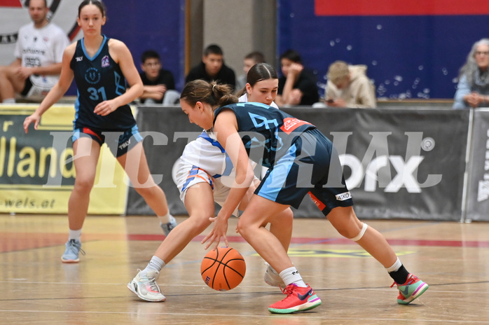 Basketball Superliga 2024/25, Grunddurchgang 8.Runde, DBB Wels vs Vienna Timberwolves,

