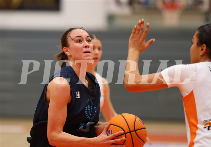 Basketball Superliga SLMU19 Basket Duchess vs. Vienna Timberwolves


