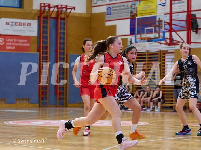 Basketball Superliga 2024/25, SLMU16 Traiskirchen Lionesses vs. VKL Vikings Kammer



