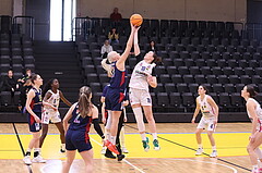 04.02.2024, Graz, Raiffeisen Sportpark, Basketball Damen Superliga 2023/24, Grunddurchgang 11.Runde, UBSC-DBBC Graz - SKN St. Pölten Frauen ,  