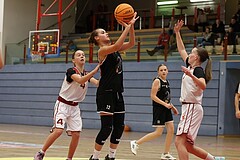 Basketball Superliga 2024/25, SLWU14 Traiskirchen Lionesses vs. ATUS Gratkorn Scorpions


