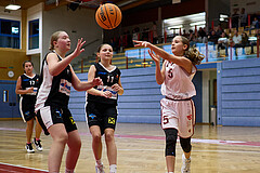Basketball Superliga 2024/25, SLWU14 Traiskirchen Lionesses vs. DBK Steyrer Witches


