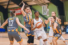 Basketball Basketball Superliga 2020/21, Grunddurchgang 10.Runde Vienna D.C. Timberwolves vs. BK Duchess
