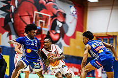Basketball, Win2Day Superliga 2024/25, Playoffs, Halbfinale Spiel 2, Traiskirchen Lions, Oberwart Gunners, Caleb Fields (4), Cedric Russell (0)