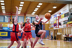 Basketball Superliga 2024/25, SLWU14 Traiskirchen Lionesses vs. Gratkorn Scorpions


