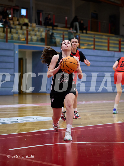 Basketball Superliga 2024/25, SLWU16 Traiskirchen Lionesses vs. BBC Nord Dragons


