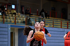 Basketball Superliga 2024/25, SLWU16 Traiskirchen Lionesses vs. BBC Nord Dragons



