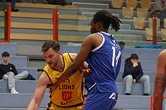 Basketball Zweite Liga 2024/25, Grunddurchgang 1.Runde Traiskirchen Lions NextGen vs. Kufstein Towers


