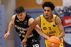 Basketball Zweite Liga 2024/25, Grunddurchgang 11.Runde Traiskirchen Lions NextGen vs. Güssing Blackbirds


