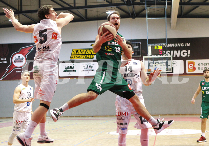 Basketball 2.Bundesliga 2019/20 Grunddurchgang 19.Runde  Güssing/Jennersdorff Blackbirds vs Dornbirn Lions