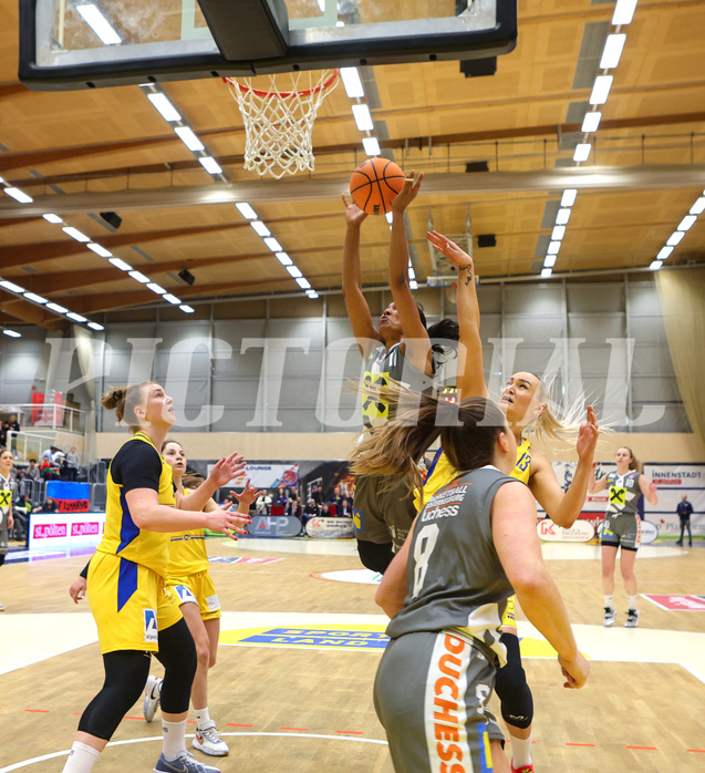 Basketball Austria Cup 2023/24, Finale SKN St. Pölten vs. Klosterneuburg Duchess


