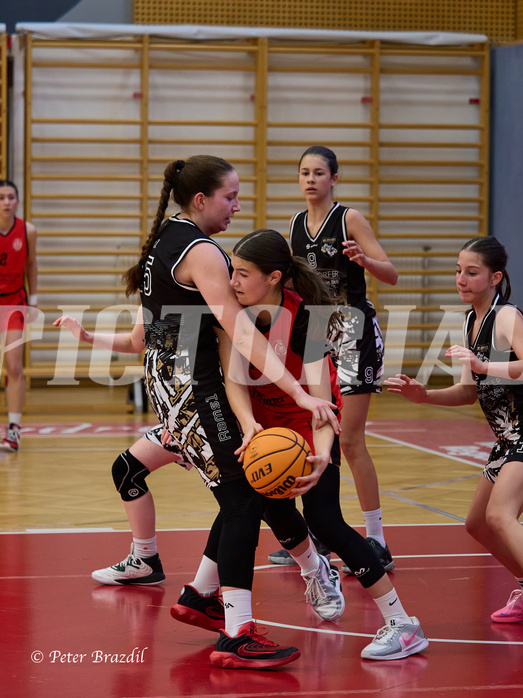 Basketball Superliga 2024/25, SLMU16 Traiskirchen Lionesses vs. VKL Vikings Kammer


