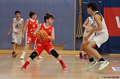 Basketball Superliga 2024/25, SLMU14 Traiskirchen Lions Academy vs. ATSE Graz


