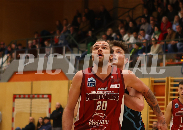 Basketball Zweite Liga 2024/25, Grunddurchgang 15.Runde Mistelbach Mustangs vs. Vienna Timberwolves