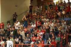 Basketball ABL 2015/16 Grunddurchgang 35.Runde Traiskirchen Lions vs. WBC Wels