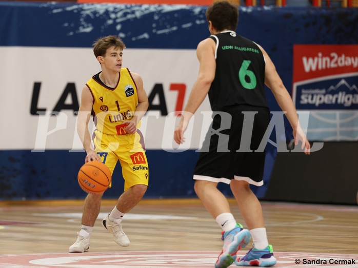 Basketball Zweite Liga 2024/25, Grunddurchgang 12.Runde Traiskirchen Lions NextGen vs. Deutsch Wagram Alligators


