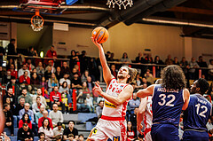 Basketball, win2day Basketball Superliga 2024/25, Grunddurchgang 20.Runde, Traiskirchen Lions, BBC Nord Dragonz, Moritz Lanegger-Rest (8)