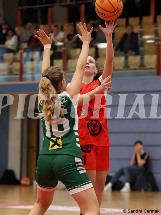 Basketball Superliga 2024/25, SLWU14 Traiskirchen Lionesses vs. UBI Graz


