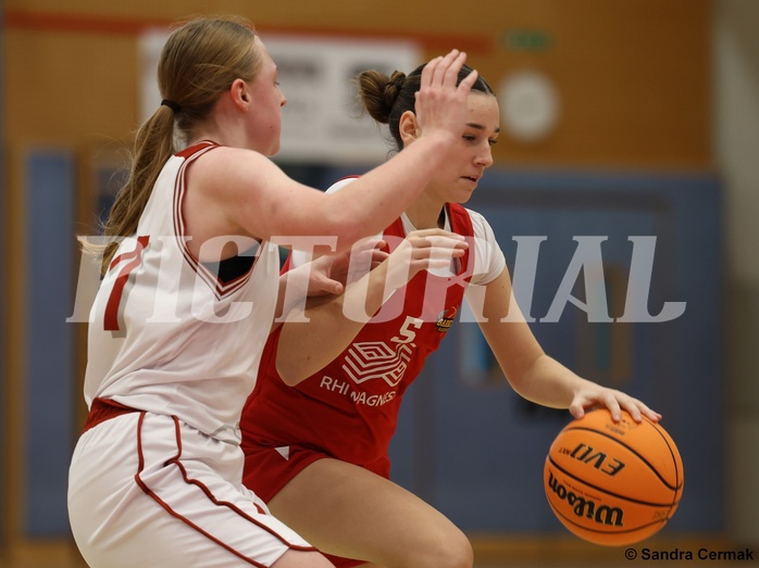 Basketball Superliga 2024/25, SLWU16 Traiskirchen Lions Young & Wild vs. Radenthein Garnet


