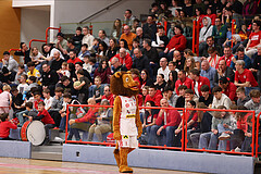 Basketball Superliaga 2024/25, Grunddurchgang 22.Runde Traiskirchen Lions vs. Flyers Wels


