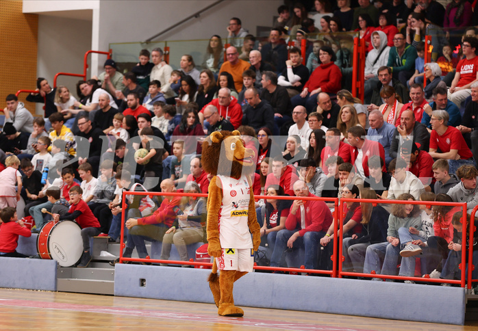 Basketball Superliaga 2024/25, Grunddurchgang 22.Runde Traiskirchen Lions vs. Flyers Wels