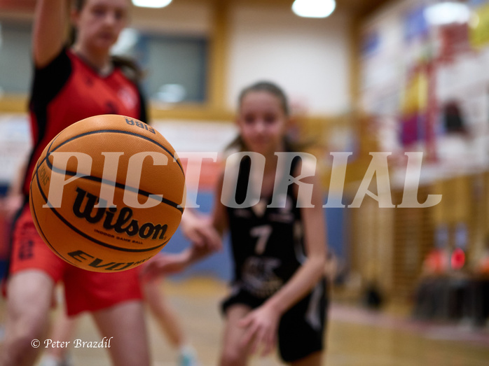 Basketball Superliga 2024/25, SLWU16 Traiskirchen Lionesses vs. BBC Nord Dragons



