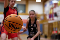 Basketball Superliga 2024/25, SLWU16 Traiskirchen Lionesses vs. BBC Nord Dragons


