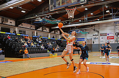Basketball Damen Supercup 2024/25, 4.Runde BK Duchess Klosterneuburg vs. Vienna Timberwolves


