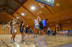 01.12.2024 Österreichischer Basketballverband 2024/25, SLWU19, Vienna United vs. Vienna Timberwolves