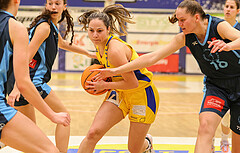 Basketball Damen Superliga 2023/24, Grunddurchgang 7.Runde SKN St. Pölten vs. Vienna Timberwolves