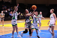 03.02.2024, Graz, Raiffeisen Sportpark, Basketball Damen Superliga 2023/24, Grunddurchgang 11.Runde, UBI Holding Graz - BK Raiffeisen Duchess Klosterneuburg ,  