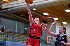 Basketball Superliga 2024/25, SLMU16 Traiskirchen Lionesses vs. VKL Vikings Kammer


