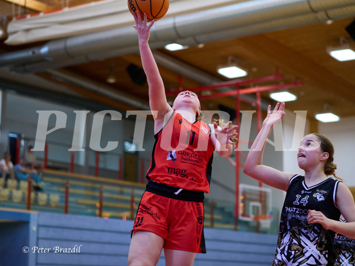 Basketball Superliga 2024/25, SLMU16 Traiskirchen Lionesses vs. VKL Vikings Kammer


