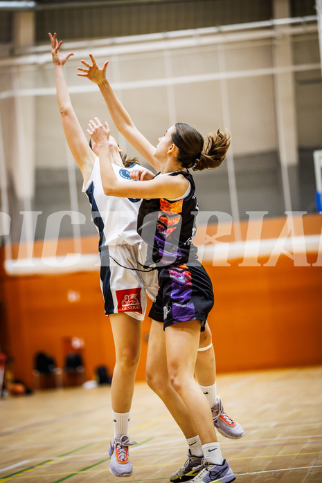 Basketball, Win2Day Basketball Damen Superliga 2024/25, Grunddurchgang 11.Runde, Vienna Timberwolves, Vienna United, Larissa Serban (31)