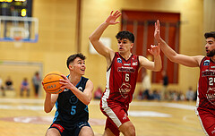Basketball Zweite Liga 2024/25, Grunddurchgang 15.Runde Mistelbach Mustangs vs. Vienna Timberwolves


