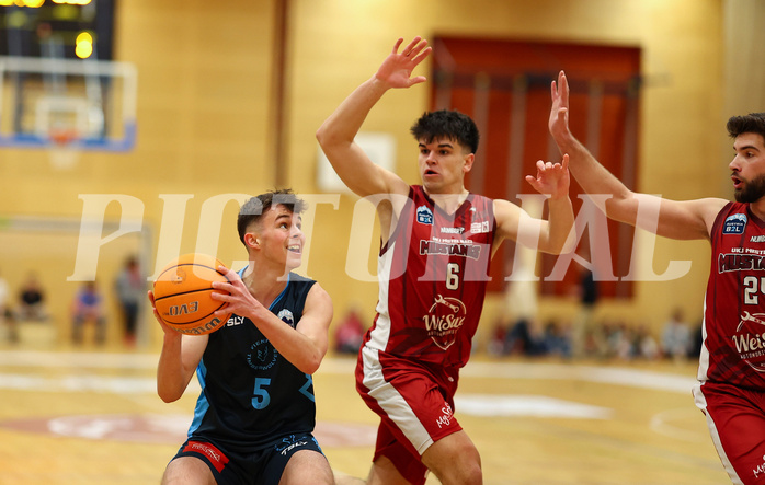 Basketball Zweite Liga 2024/25, Grunddurchgang 15.Runde Mistelbach Mustangs vs. Vienna Timberwolves