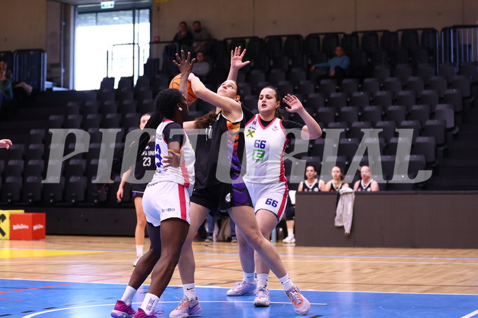 02.03.2025, Graz, Raiffeisen Sportpark, Basketball Damen Superliga 2024/25, Grunddurchgang, 14.Runde, UBSC-DBBC Graz - Vienna United,  