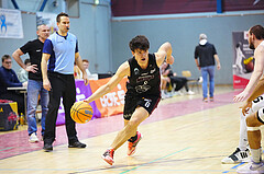 Basketball 2. Liga 2024/25, Grunddurchgang 20.Runde , Güssing vs. Mistelbach


