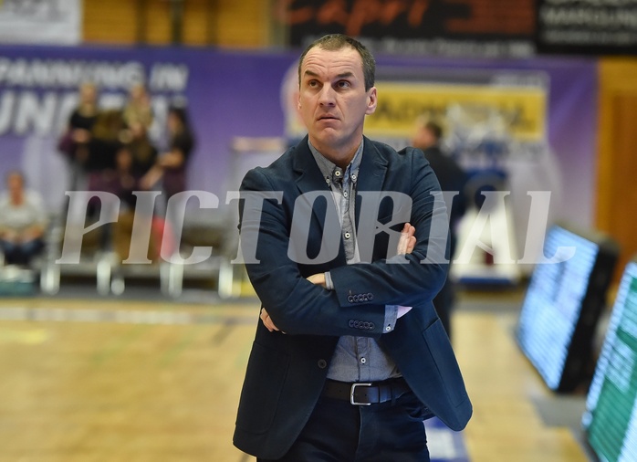 Basketball ABL 2015/16 Grunddurchgang 19.Runde Gmunden Swans vs F