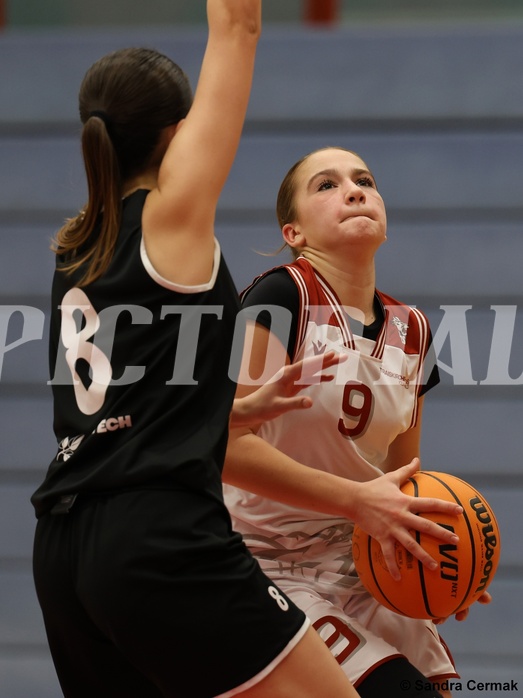 Basketball Superliga 2024/25, SLWU14 Traiskirchen Lionesses vs. ATUS Gratkorn Scorpions


