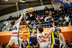 Basketball, Basketball Zweite Liga 2024/25, Grunddurchgang 17.Runde, Vienna Timberwolves, Future Team Steiermark, Ivor Kuresevic (44), Simon Okoro (19)