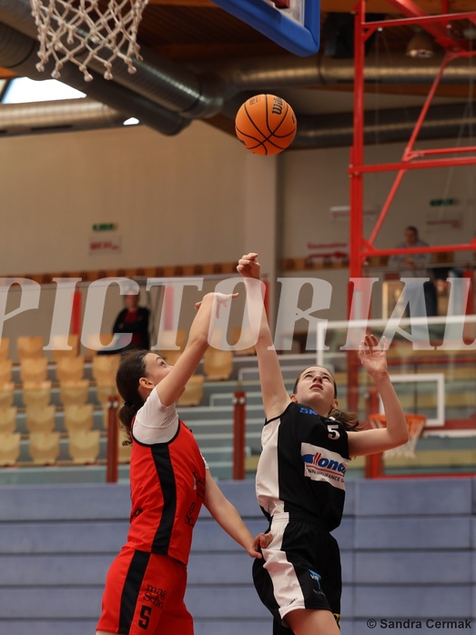Basketball Superliga 2024/25, SLWU16 Traiskirchen Lionesses vs. DBK Steyrer Witch Cadets


