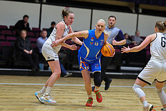 Basketball Damen Superliga 2023/24, Grunddurchgang 11.Runde Basket Flames vs. DBB wels


