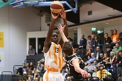 Basketball ABL 2016/17, Grunddurchgang 15.Runde BK Dukes Klosterneuburg vs. Traiskirchen Lions