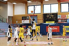 Basketball Zweite Liga 2024/25, Grunddurchgang 17.Runde Traiskirchen Lions NextGen vs. Raiders Tirol


