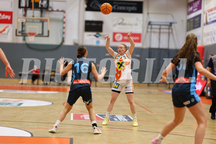 Basketball Damen Supercup 2024/25, 4.Runde BK Duchess Klosterneuburg vs. Vienna Timberwolves



